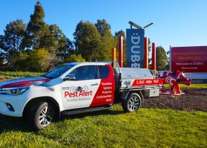 Pest Control Dubbo