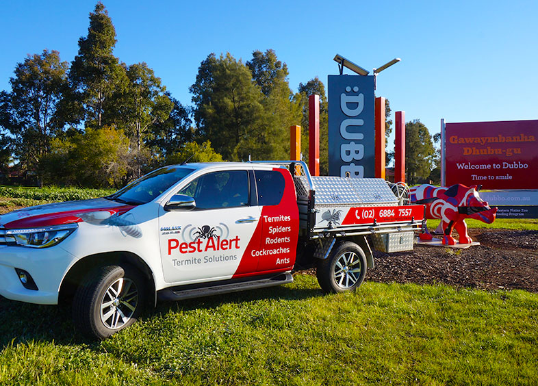 Pest Control in Dubbo